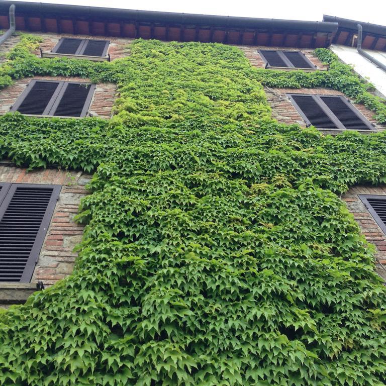 特瑞吉拉索丽公寓 蒙特圣萨维诺 外观 照片